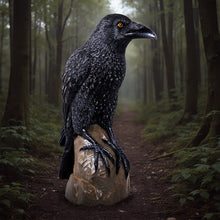 Load image into Gallery viewer, PH Studio: Giant Mystic Night Raven - MOQ 1