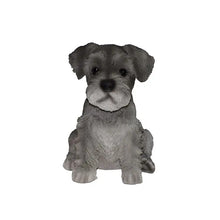 Load image into Gallery viewer, Schnauzer Puppy