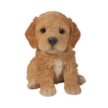Load image into Gallery viewer, Brown Cockapoo Puppy