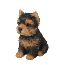 Load image into Gallery viewer, Yorkshire Terrier Puppy