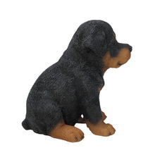 Load image into Gallery viewer, Rottweiler Puppy
