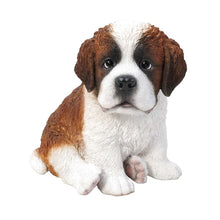 Load image into Gallery viewer, Saint Bernard Puppy