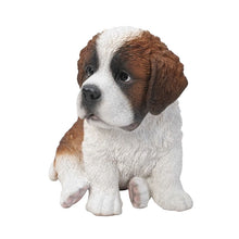 Load image into Gallery viewer, Saint Bernard Puppy
