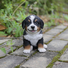Load image into Gallery viewer, Bernese Mountain Dog Puppy