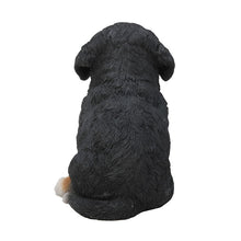 Load image into Gallery viewer, Bernese Mountain Dog Puppy