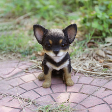 Load image into Gallery viewer, Black & Brown Chihuahua Puppy