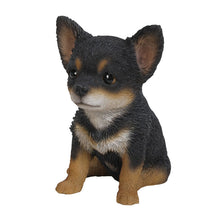 Load image into Gallery viewer, Black & Brown Chihuahua Puppy
