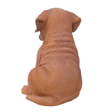 Load image into Gallery viewer, Boxer Puppy