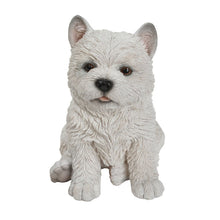 Load image into Gallery viewer, White Terrier Puppy