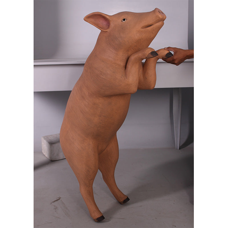 PH Studio: Curious Pig - MOQ 3