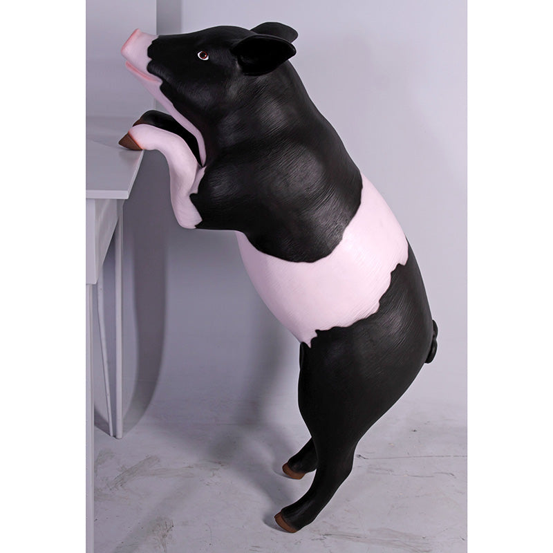 PH Studio: Curious Pig - MOQ 2