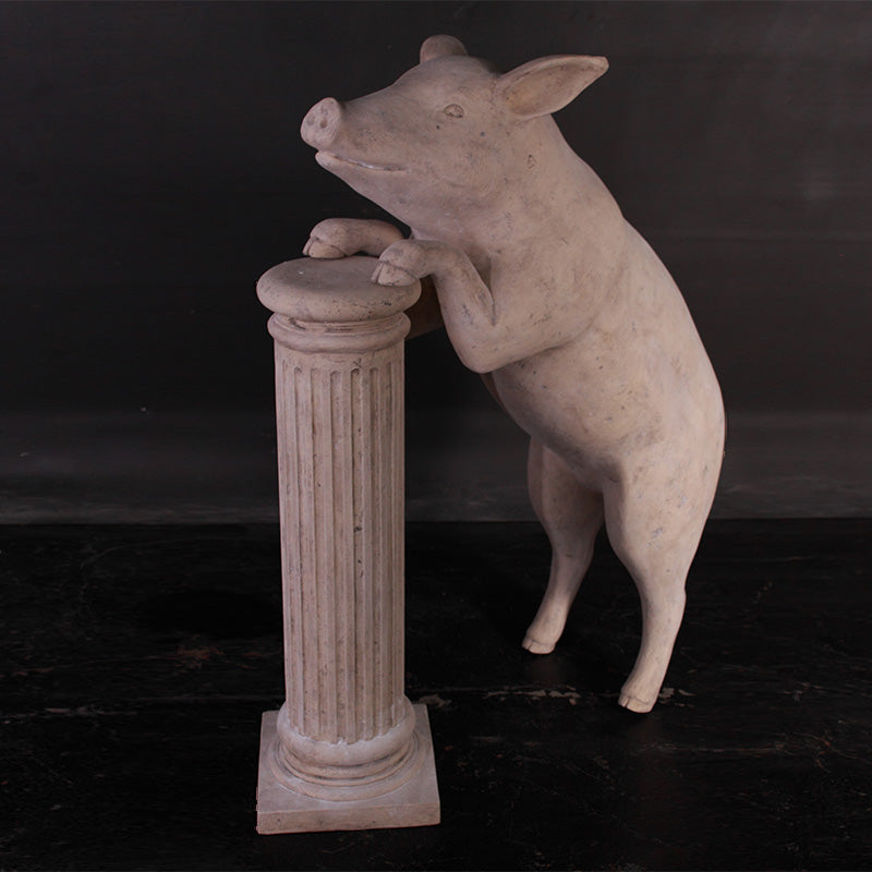 Made to Order: Curious Pig