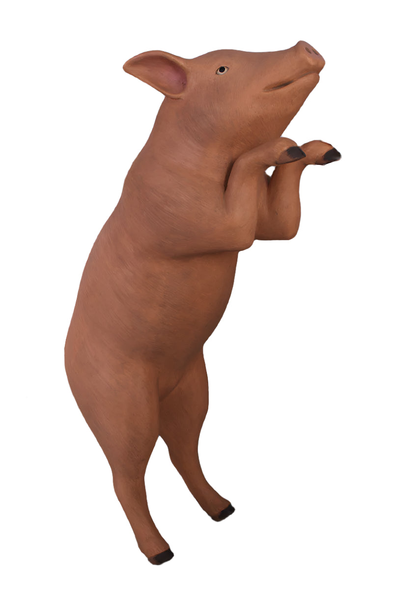 Made to Order: Ph-020608Pt - Pig On Hind Legs-Painted - Resin/Fibreglass