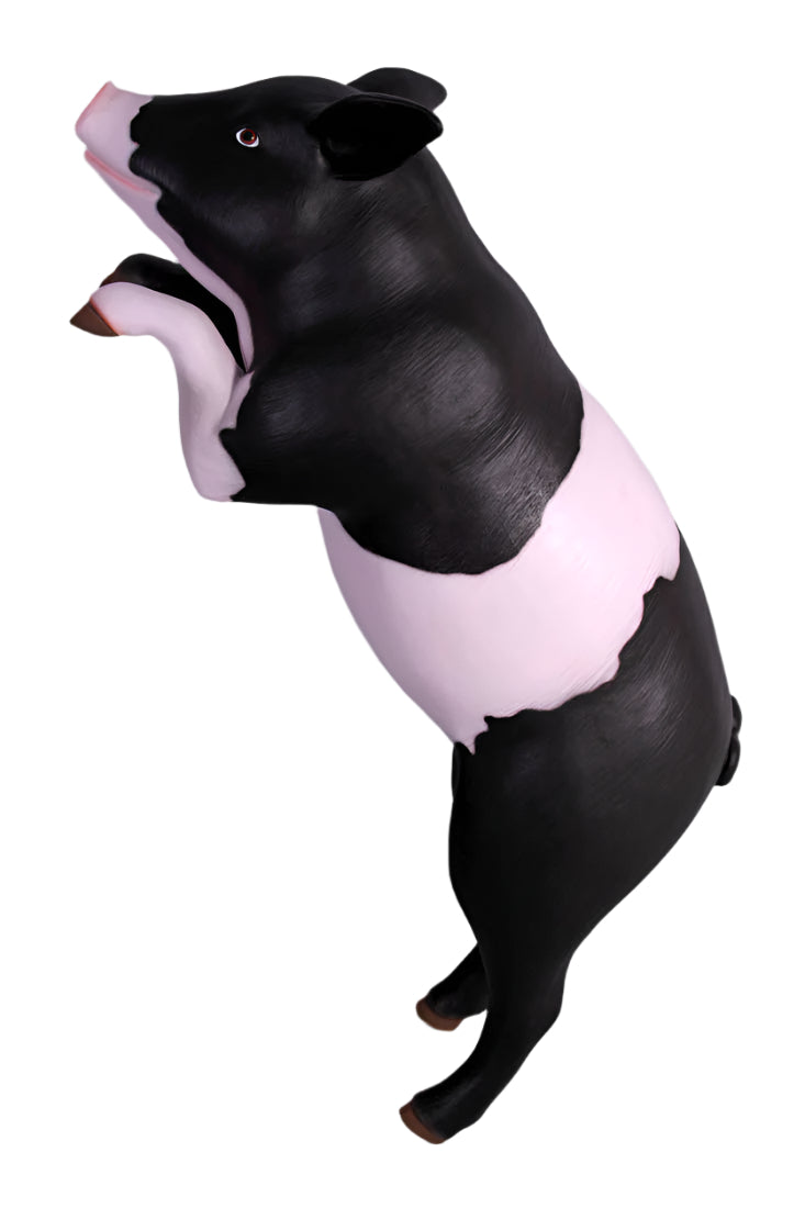 Made to Order: Ph-020608Pb - Pig On Hind Legs-Pink & Black - Resin/Fibreglass