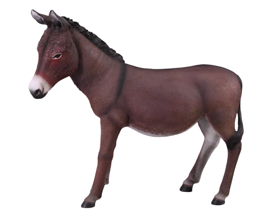 Made to Order: Ph-080044 - Donkey Standing