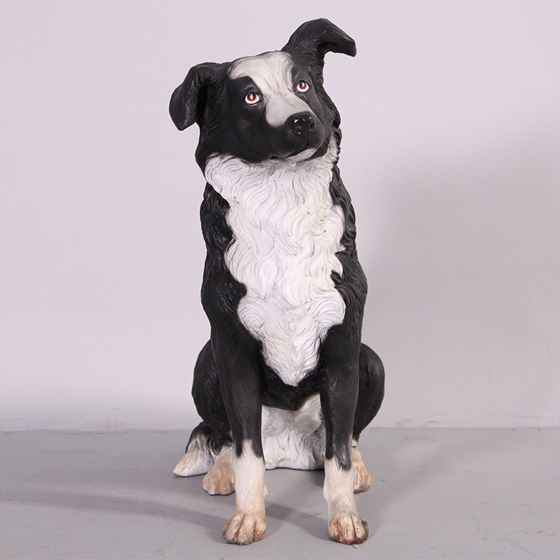 Made to Order: Border Collie