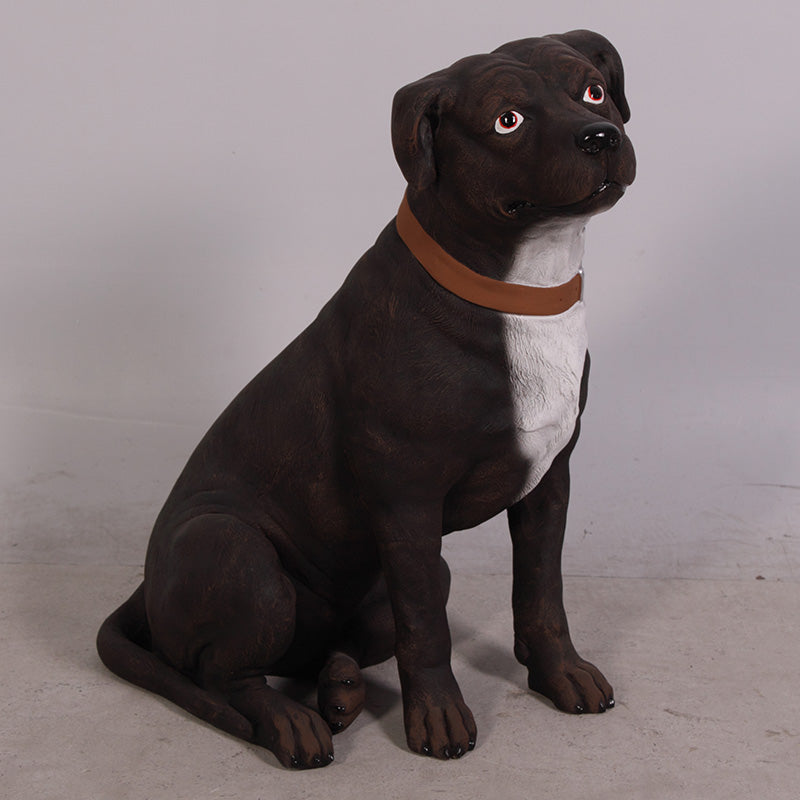 Made to Order: Staffordshire Terrier