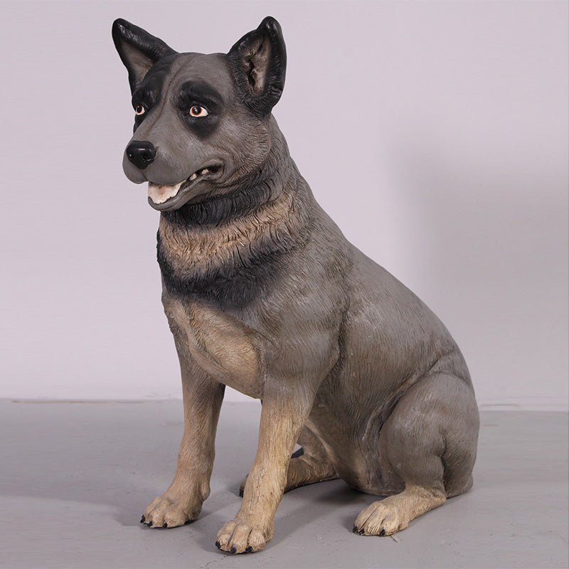 Made to Order: Blue Heeler