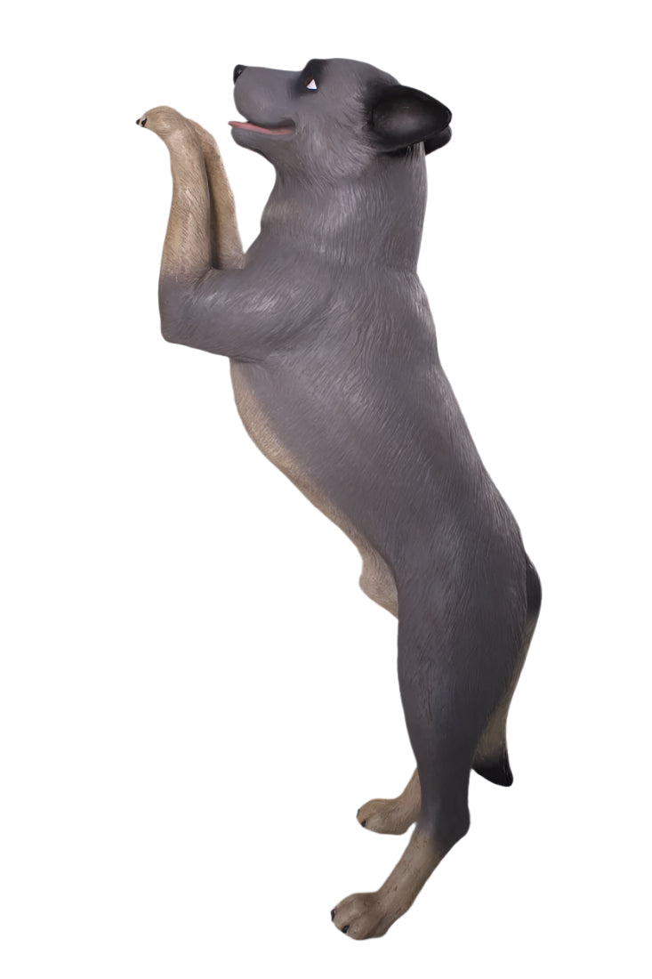 Made to Order: Ph-080073 - Standing Blue Heeler (Not In Aus)