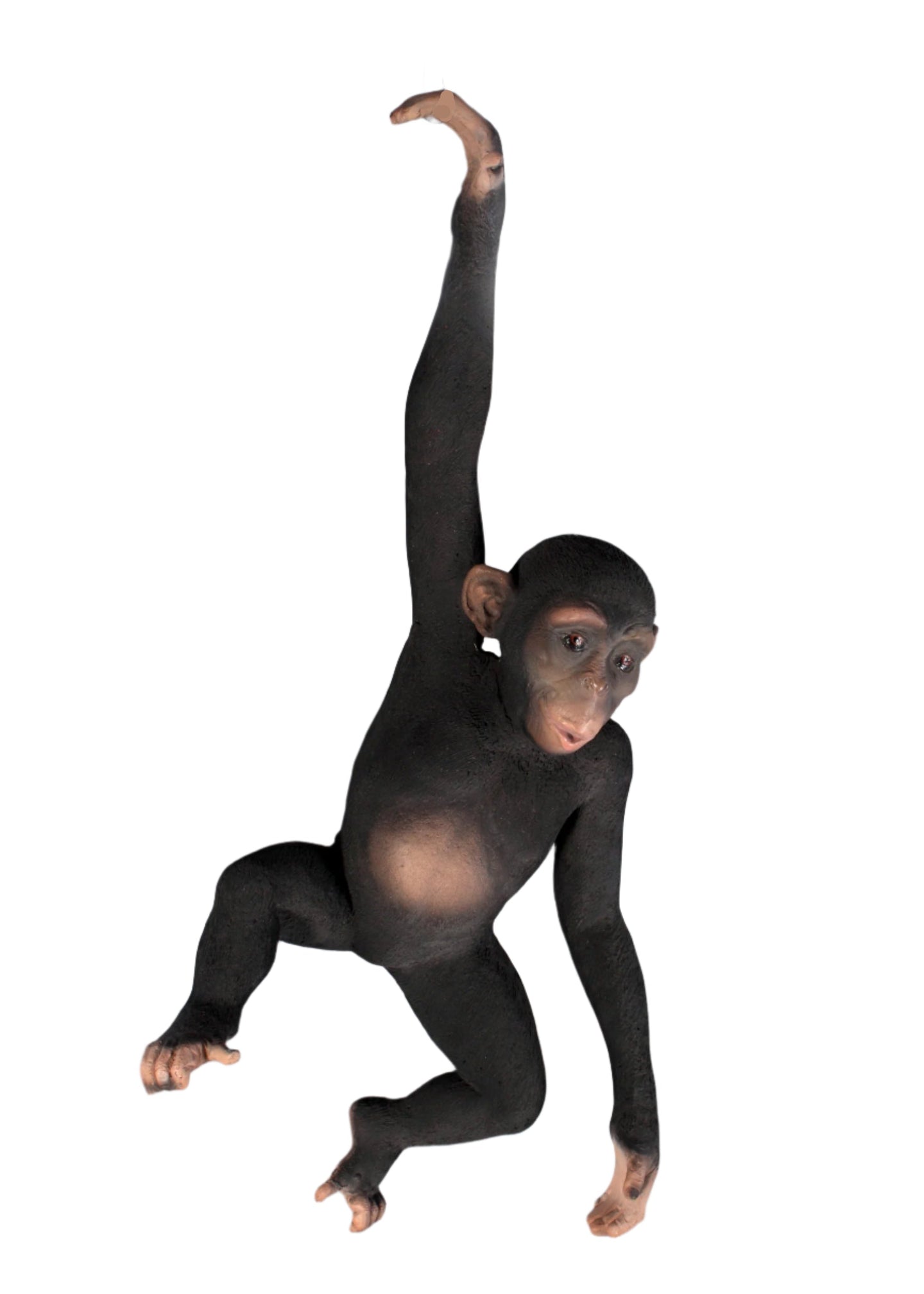 Made to Order: Monkey Hanging