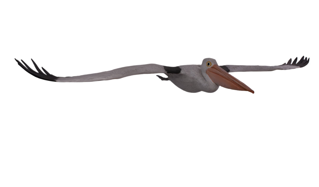 Made to Order: Ph-080114 - Pelican Flying
