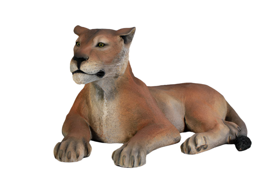 Made to Order: Lioness