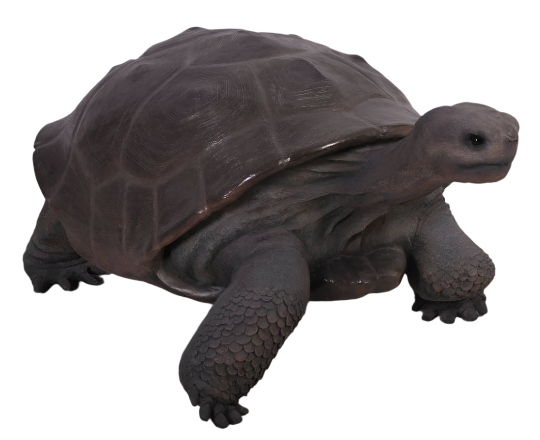 Made to Order: Galapagos Tortoise