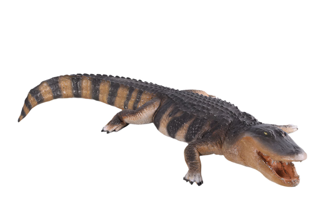 Made to Order: American Alligator 8 Ft