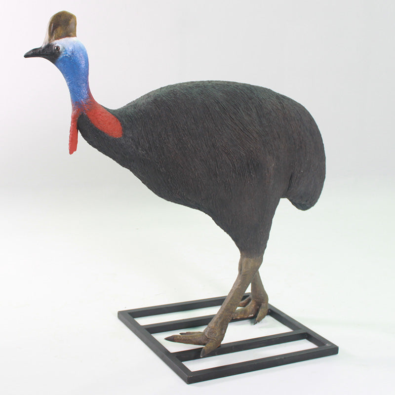 PH Studio: Cassowary Male - MOQ 2