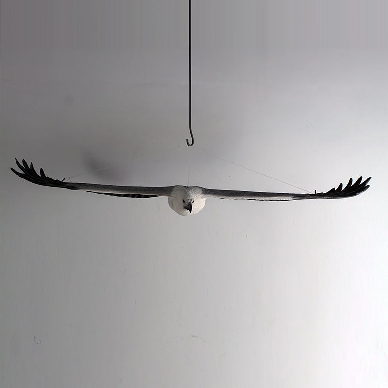Made to Order: White Breasted Sea-Eagle - Flying
