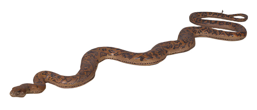 Made to Order: Ph-090021 - Python