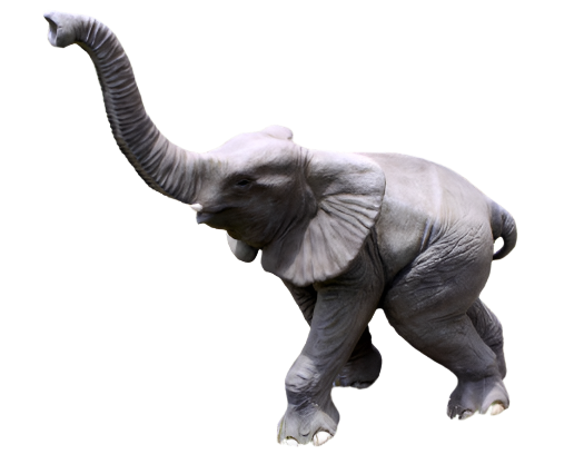 Made to Order: Elephant Baby Walking W/Trunk Up - Resin/Fibreglass