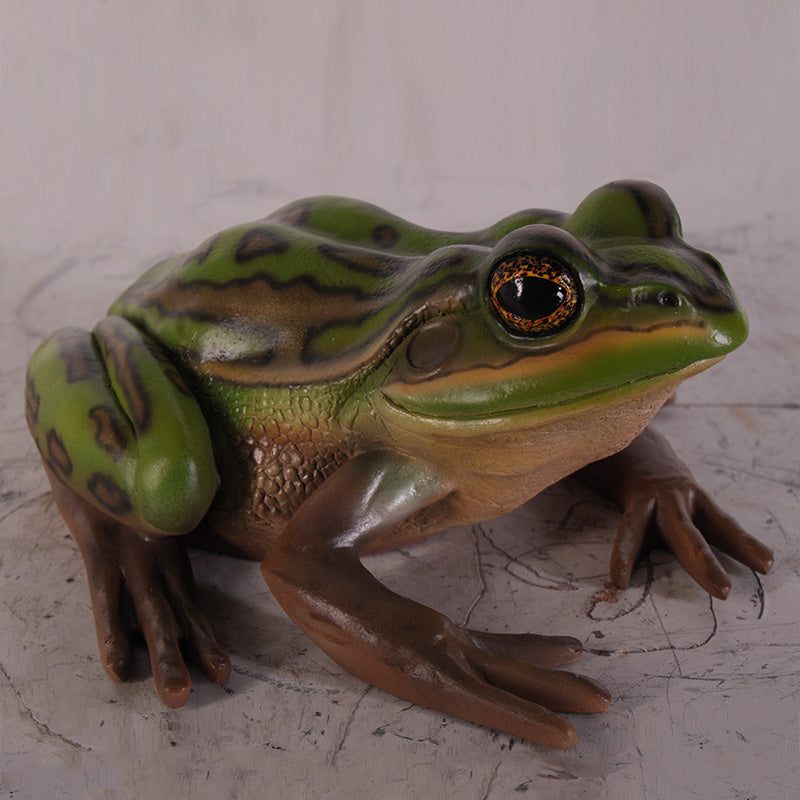 Made to Order: Green and Golden Bell Frog
