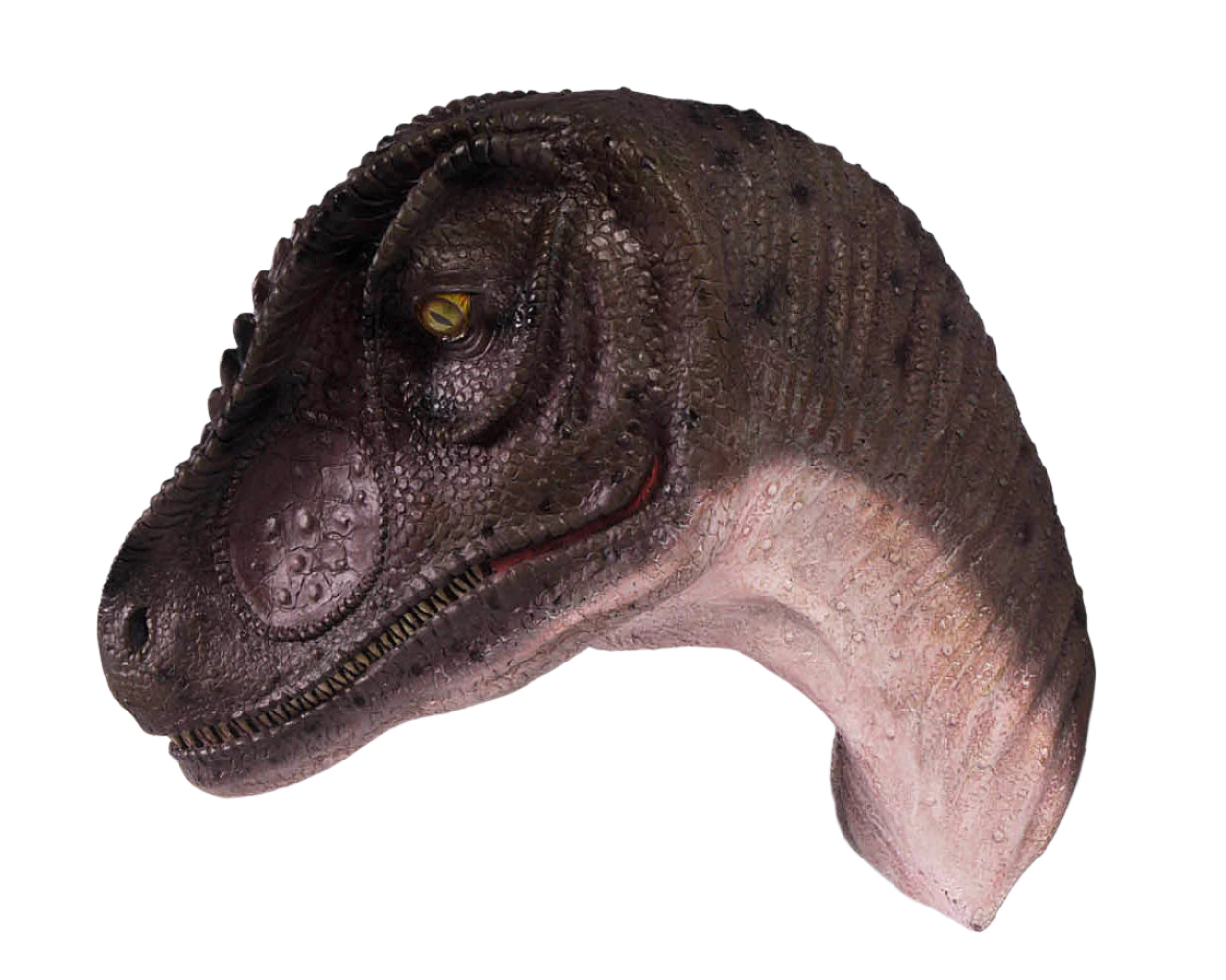 Made to Order: Ph-100014 - Allosaurus Head