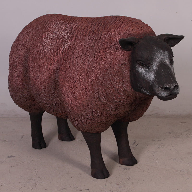 PH Studio: Texelaar - Head Up - MOQ 3