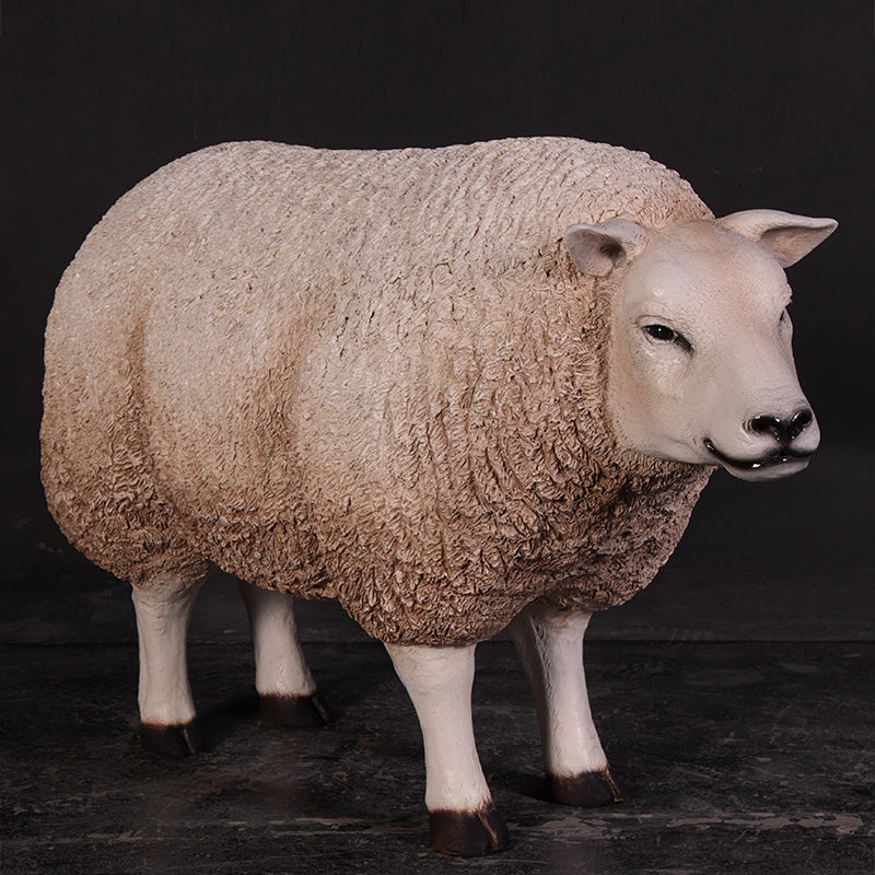 PH Studio: Texelaar - Head Up - MOQ 2