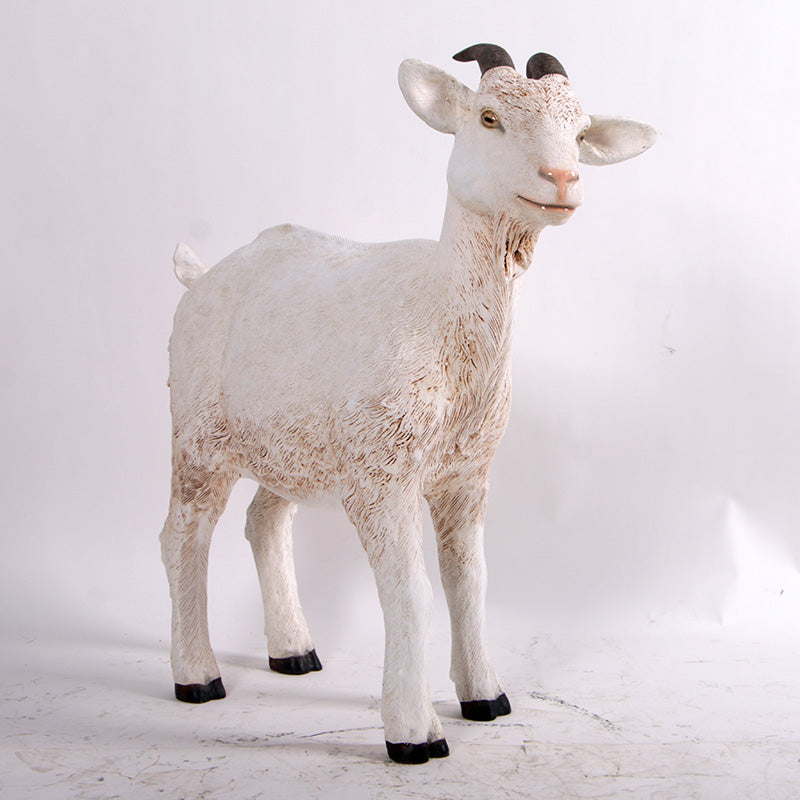 PH Studio: Goat - MOQ 3