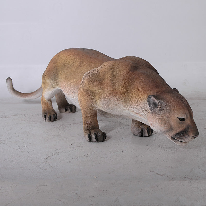 Made to Order: Cougar