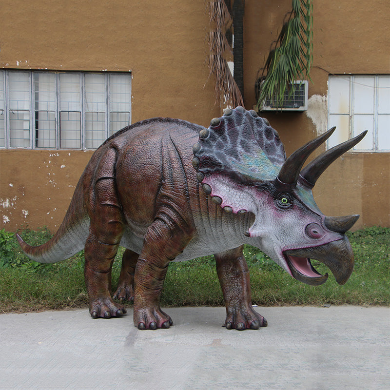 PH Studio: Triceratops - MOQ 1