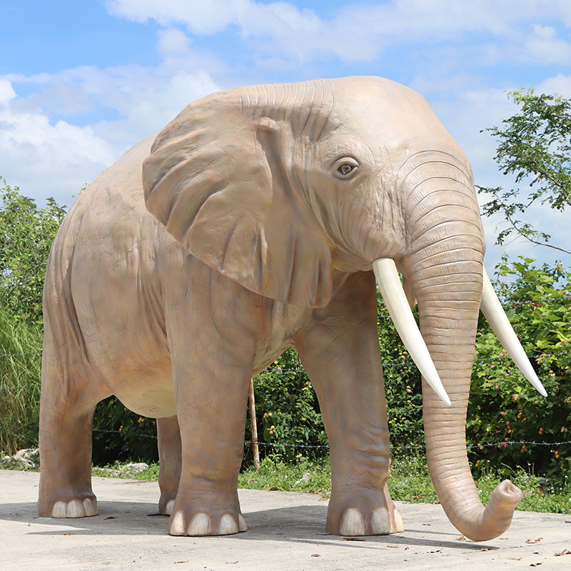 PH Studio: African Elephant - MOQ Inquire