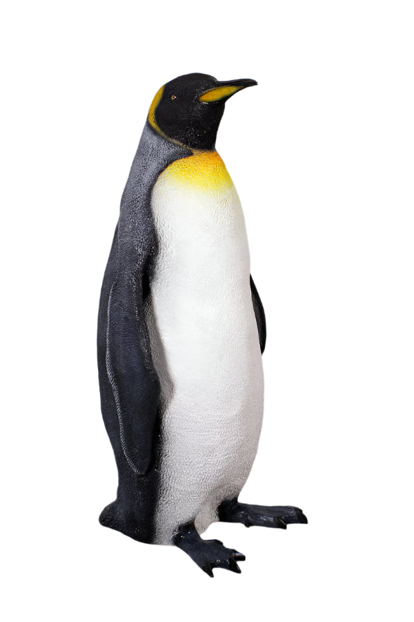 Made to Order: Ph-100068 - King Penguin