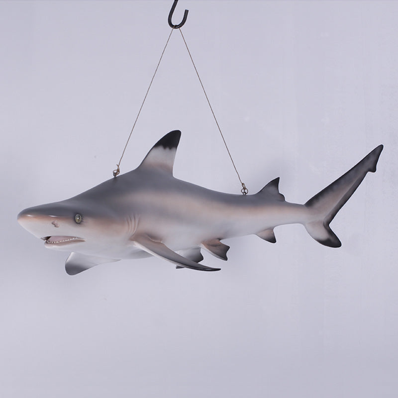 PH Studio: Black Tip Reef Shark Hanging - MOQ 3