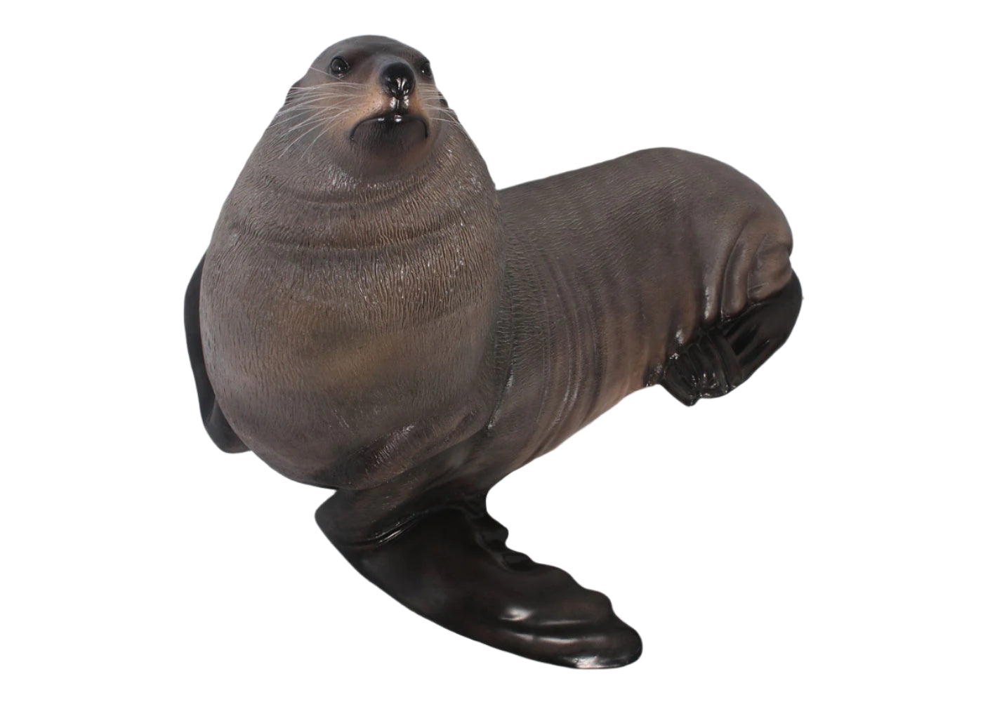 Made to Order: Male Fur Seal