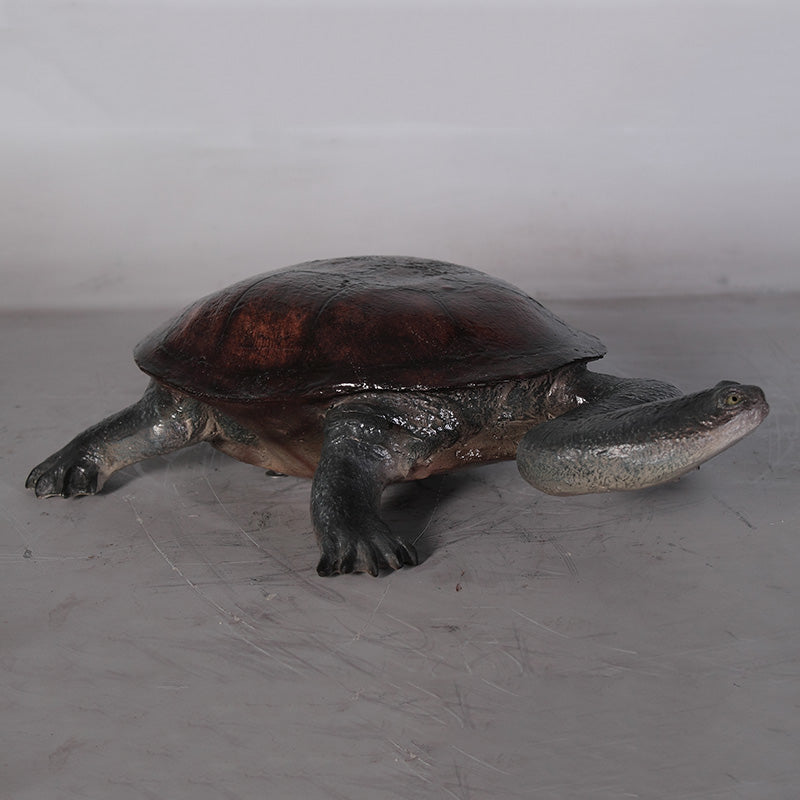 PH Studio: Long-neck Turtle - MOQ 10