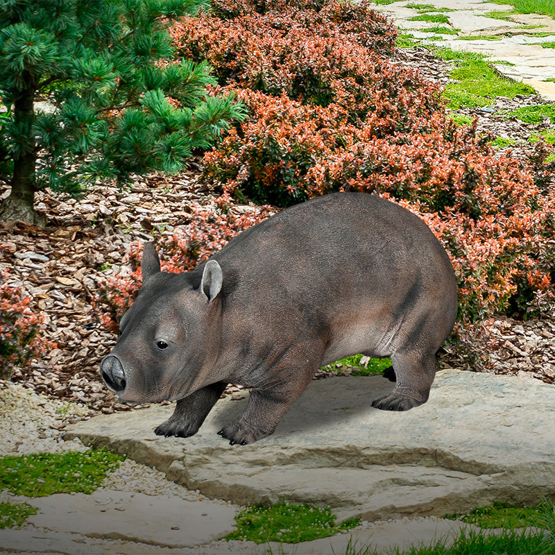 Made to Order: Hairy Nosed Wombat
