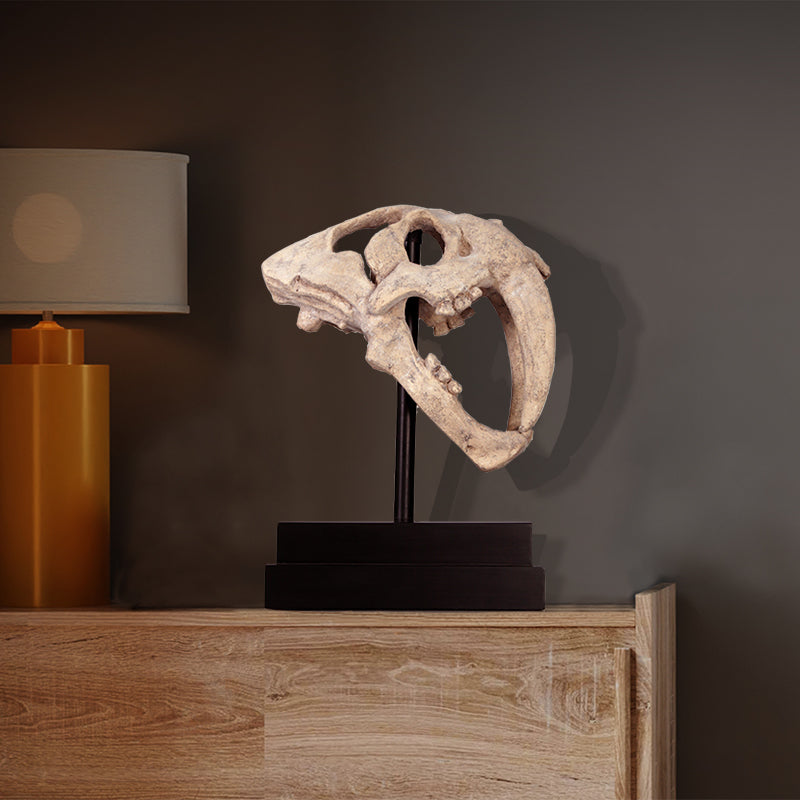 PH Studio: Saber Toothed Tiger Skull on Base - MOQ 5