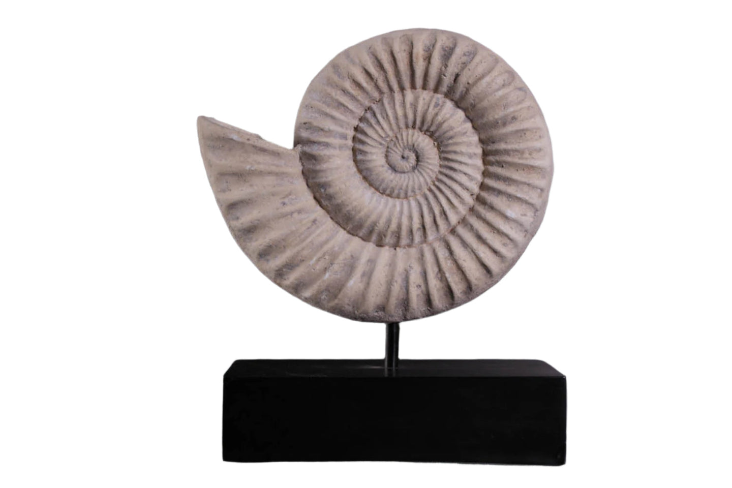 Made to Order: Ph-100505Rs - Nautilus Shell On Base