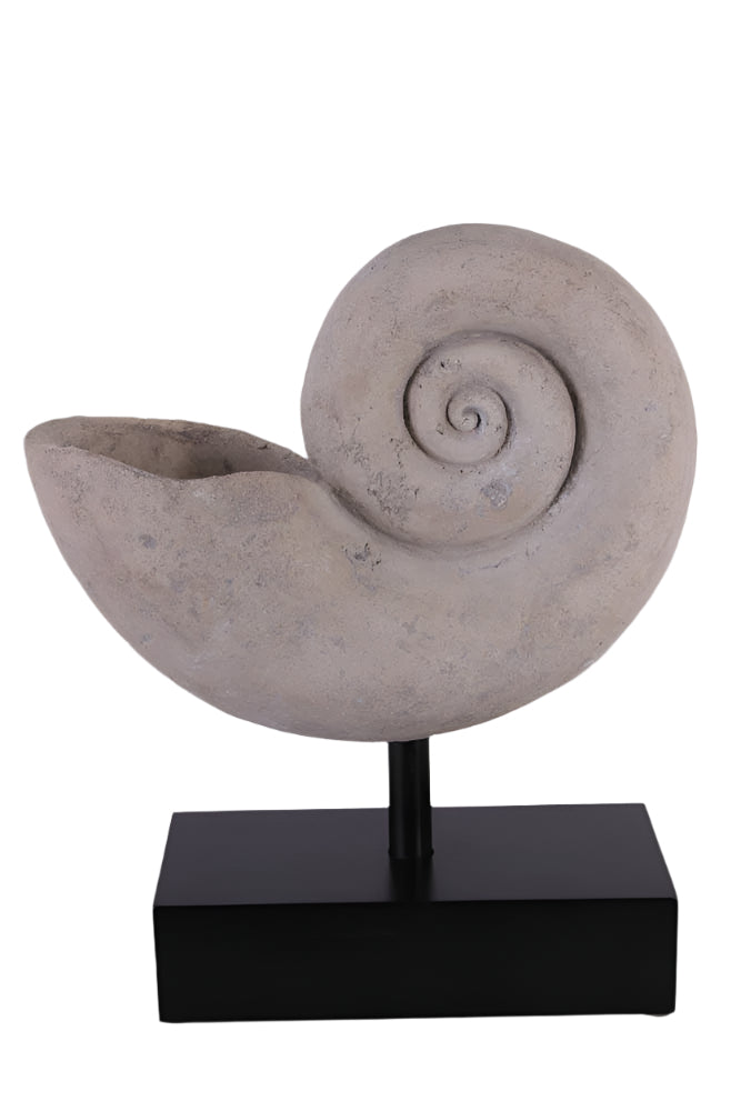 Made to Order: Ph-100601Rs - Nautilus Shell On Base - Large