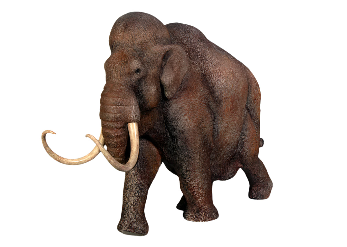 Made to Order: Mammoth