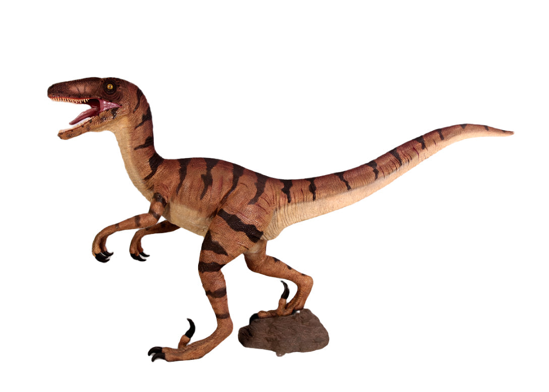 Made to Order: Dinosaur-Velociraptor -Resin/Fibreglass